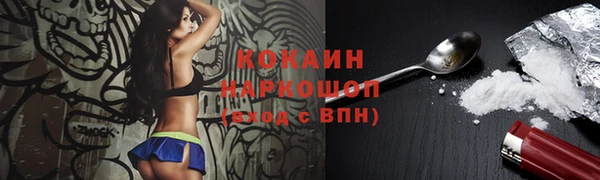 сатива Карталы