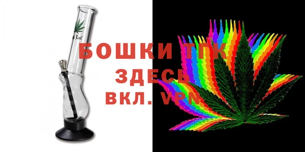 стафф Касимов