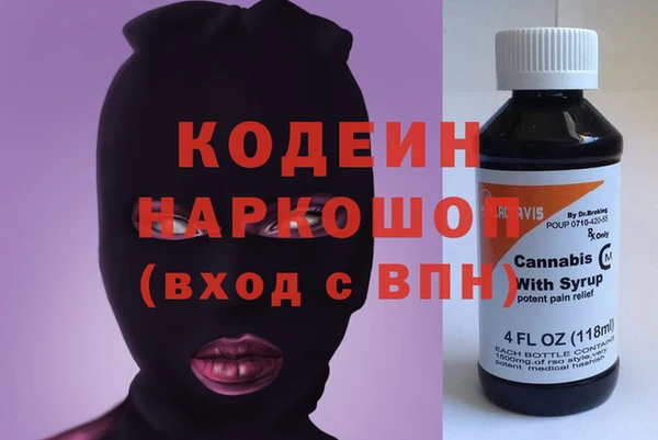 шишки Киренск