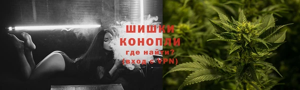 шишки Киренск