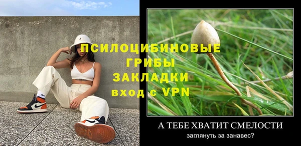 прущие грибы Киреевск
