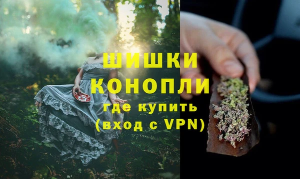 шишки Киренск