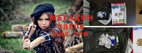стафф Касимов
