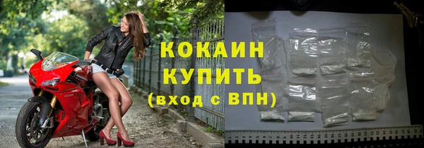 шишки Киренск
