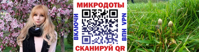 Купить закладки  Новохопёрск  Псилоцибиновые грибы Psilocybe 